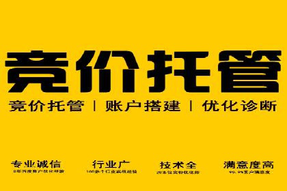 百度推广实战教程：多角度案例分析